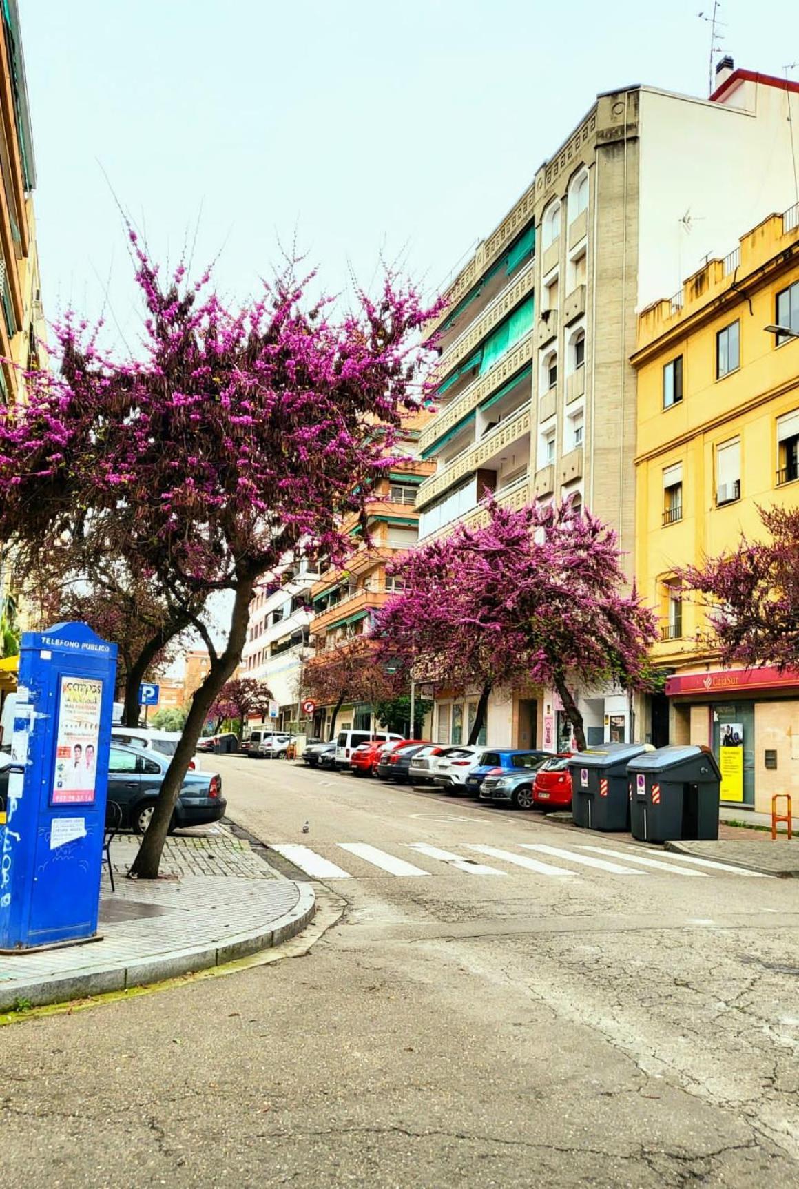 קורדובה Vintage Apartment מראה חיצוני תמונה